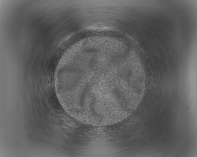 X0000080190966200612302307