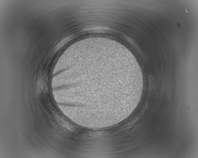 X0000080190970200612302307