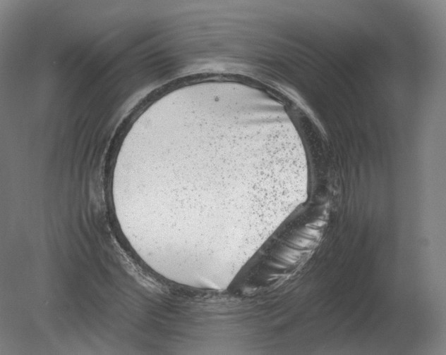 X0000080190972200612302307