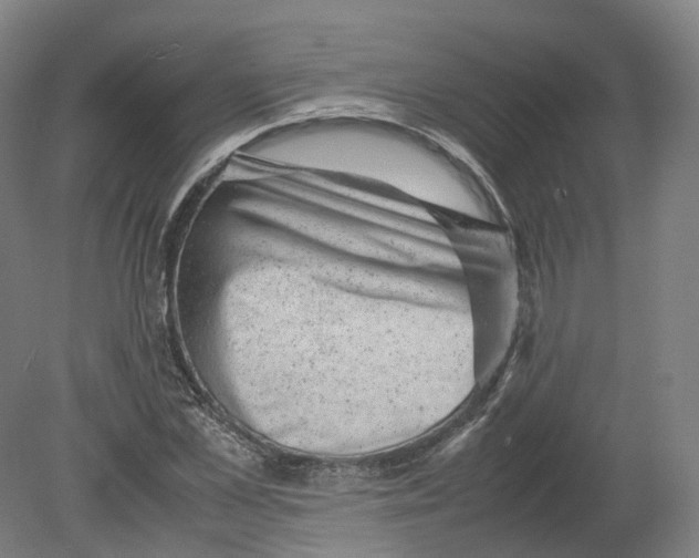 X0000080190973200612302307