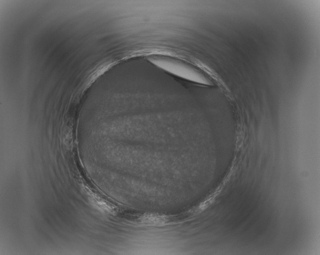 X0000080190977200612302307