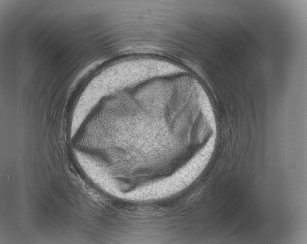 X0000080190979200612302307