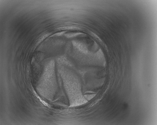 X0000080190993200612302307