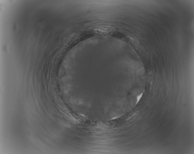 X0000080191009200612302306