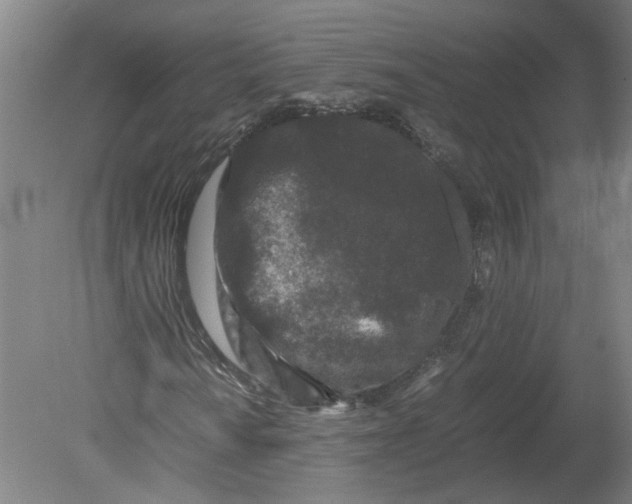 X0000080191010200612302306