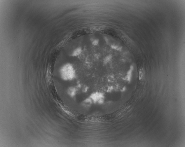 X0000080191011200612302306