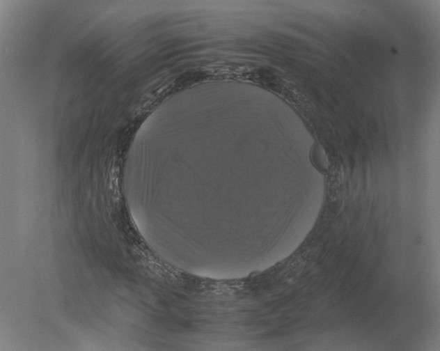 X0000080191013200612302306