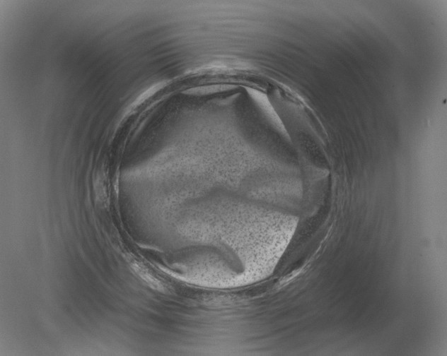 X0000080191018200612302306