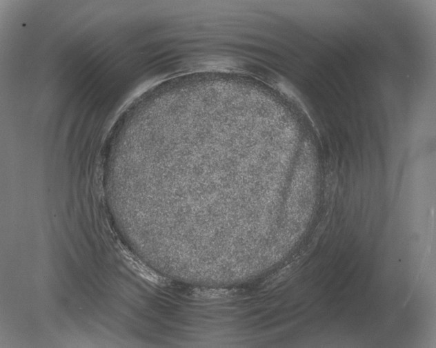 X0000080191019200612302306