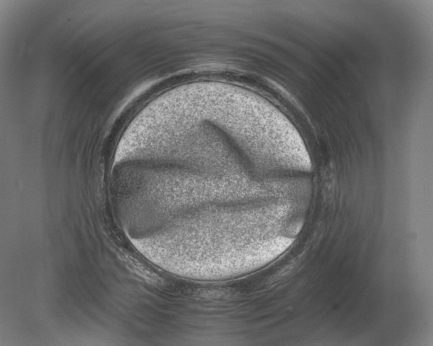 X0000080191021200612302306
