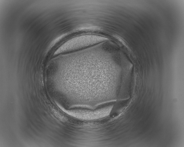 X0000080191022200612302306