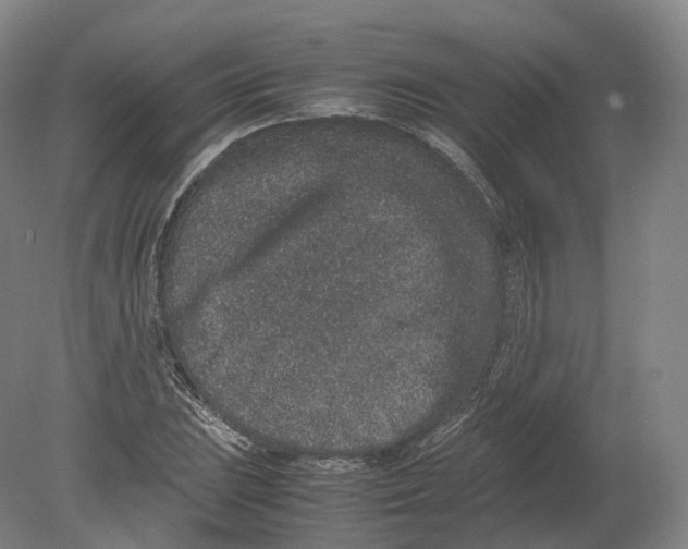 X0000080191023200612302306
