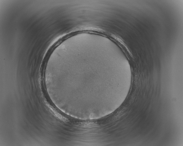 X0000080191024200612302306