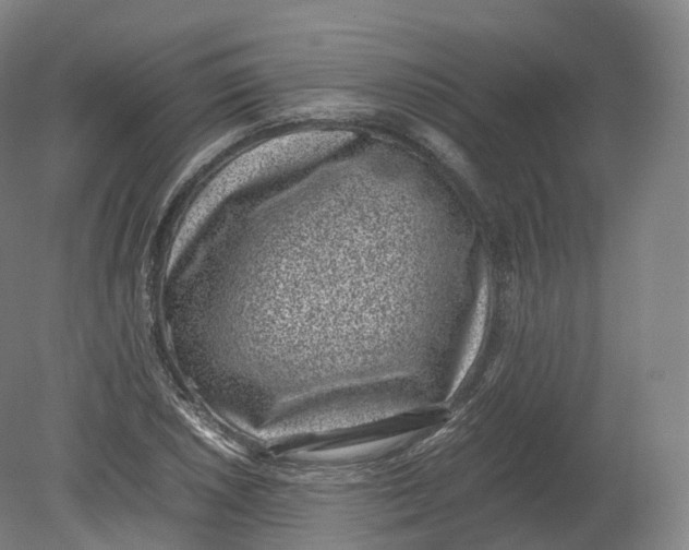 X0000080191026200612302306