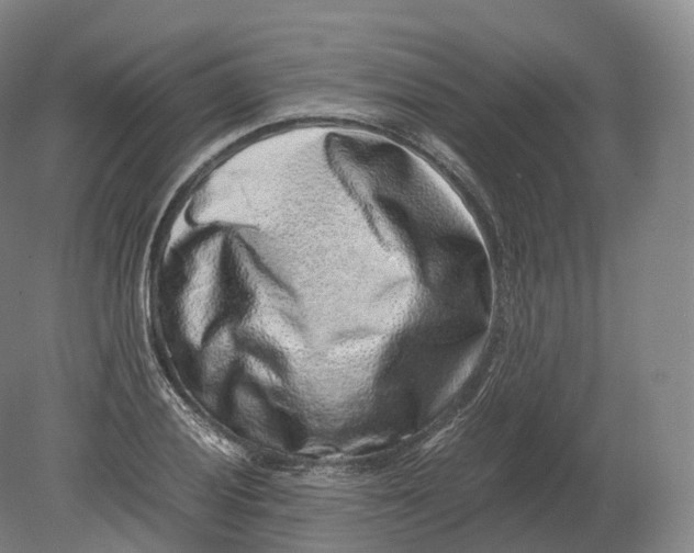 X0000080191028200612302306