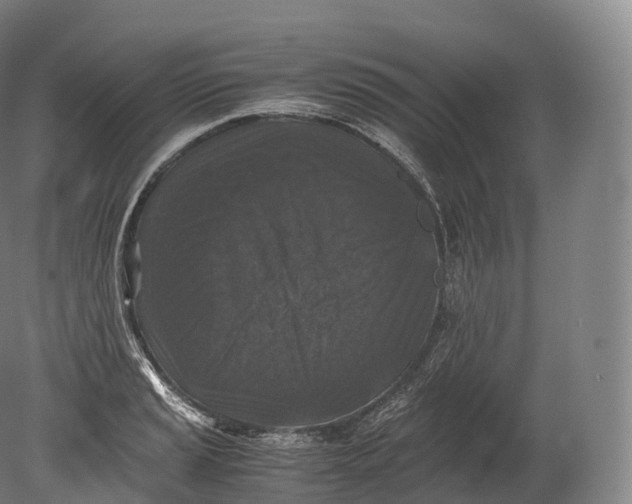 X0000080191037200612302306