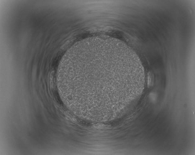 X0000080191059200612302306