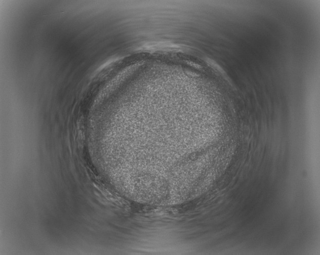 X0000080191063200612302306