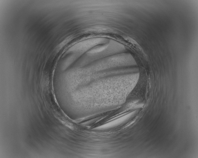 X0000080191065200612302306