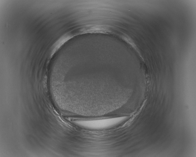 X0000080191066200612302306