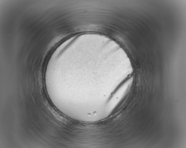 X0000080191072200612302305