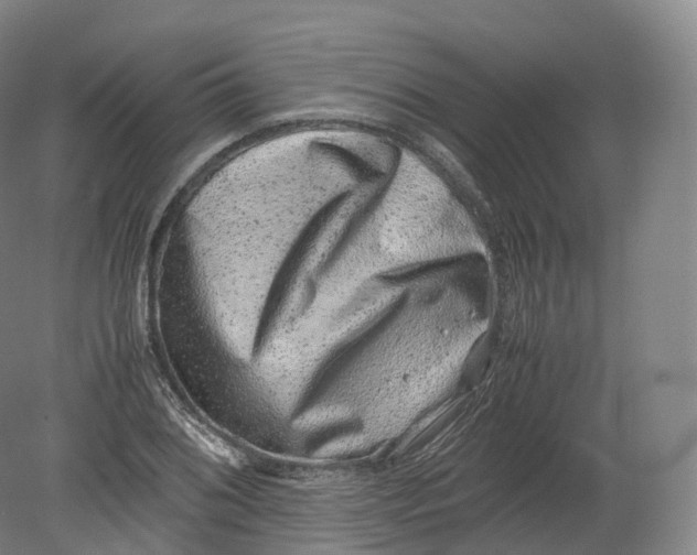 X0000080191076200612302305