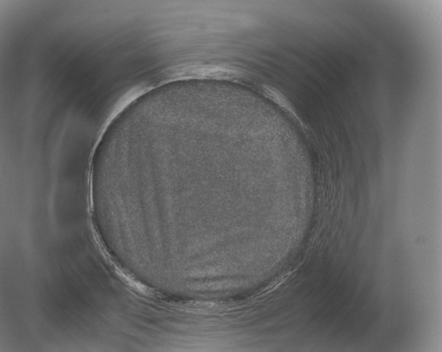 X0000080191079200612302305