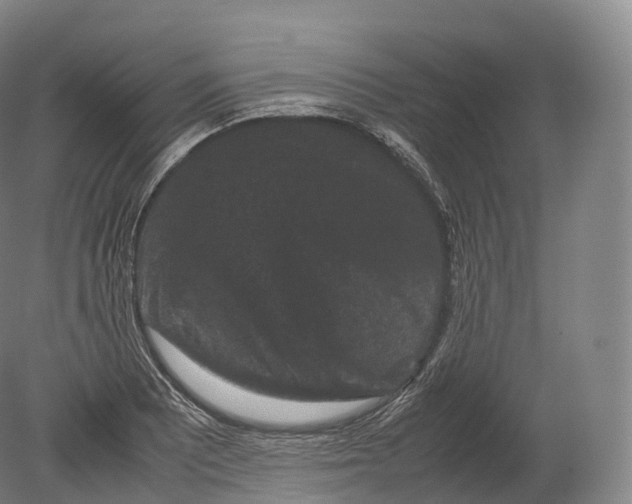 X0000080191081200612302305