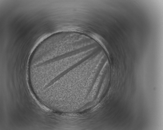 X0000080191093200612302305