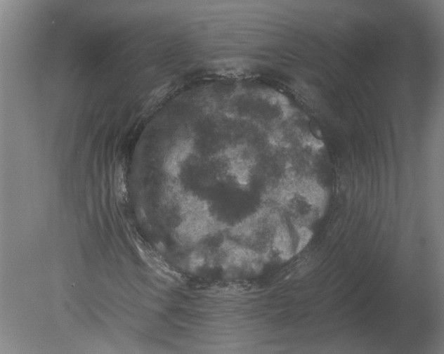 X0000080191106200612302304