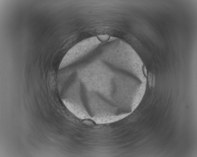 X0000080191107200612302304