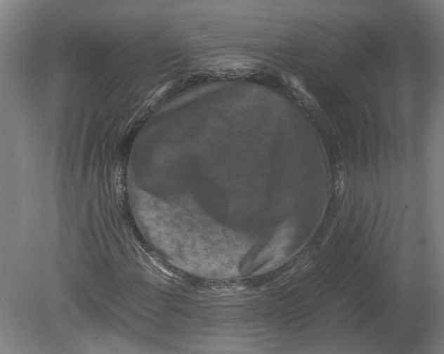 X0000080191108200612302304