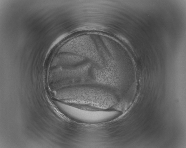 X0000080191114200612302304