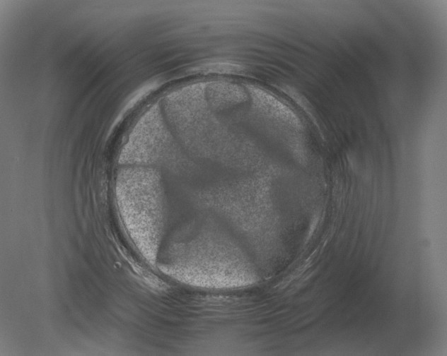 X0000080191115200612302304
