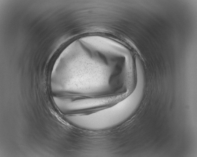 X0000080191116200612302304