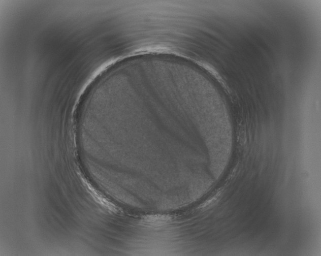 X0000080191118200612302304