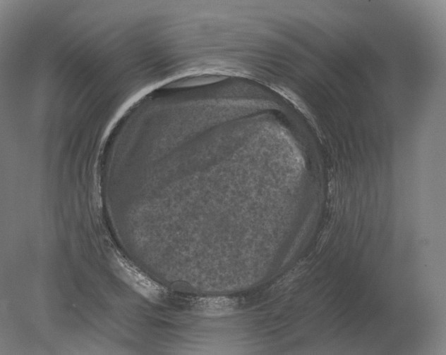X0000080191120200612302304