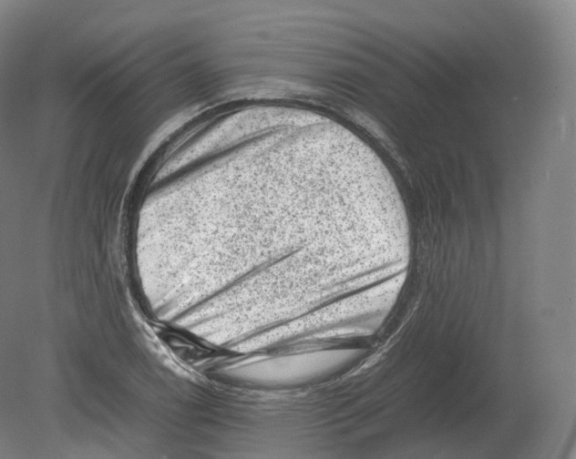 X0000080191122200612302304