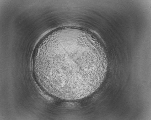 X0000080191125200612302304