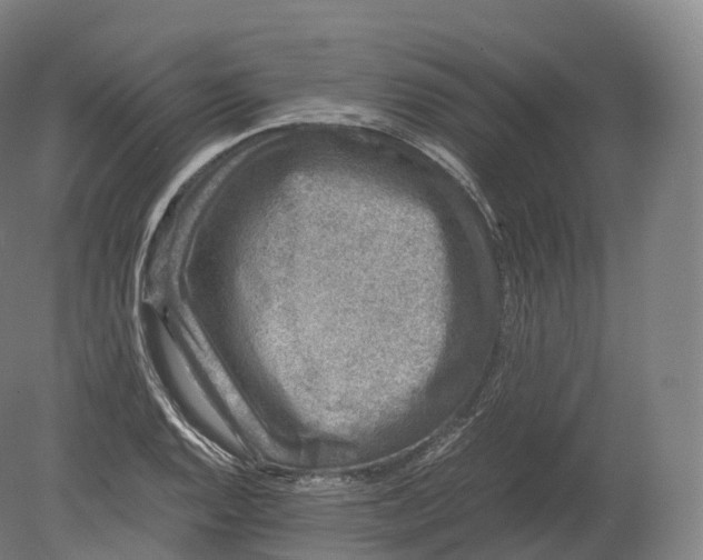 X0000080191128200612302305