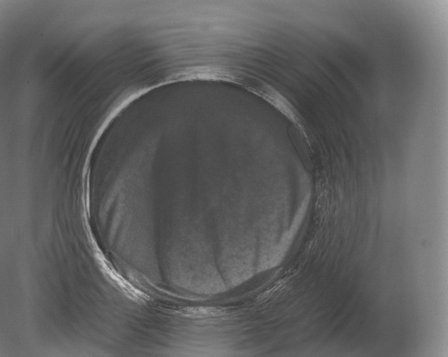 X0000080191132200612302305