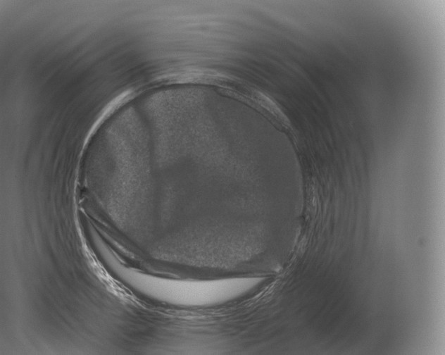 X0000080191138200612302305