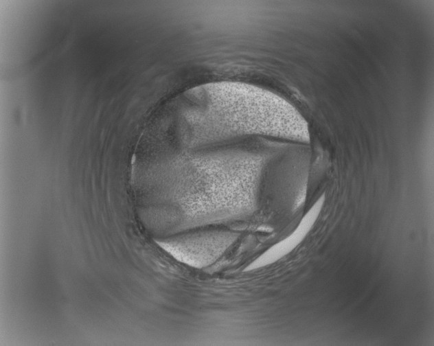 X0000080191153200612302304