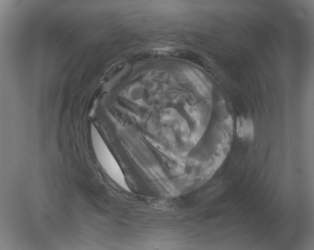 X0000080191155200612302304