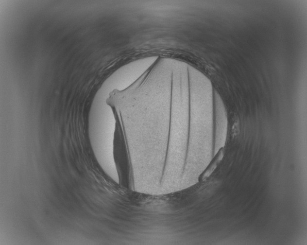 X0000080191156200612302304