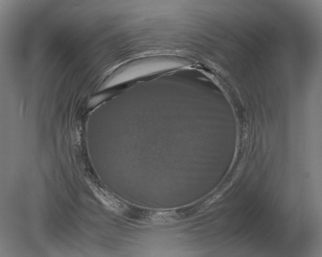 X0000080191161200612302304