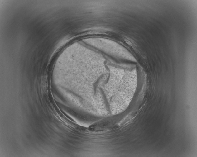 X0000080191164200612302304