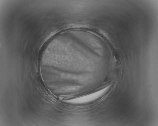 X0000080191165200612302304