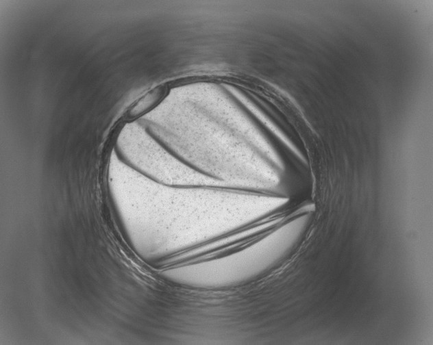 X0000080191168200612302304