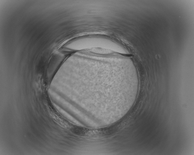 X0000080191169200612302304